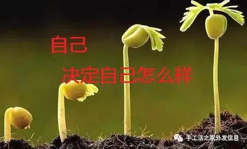 在家挣钱的副业_挣钱搞在家副业的句子_在家如何搞副业挣钱