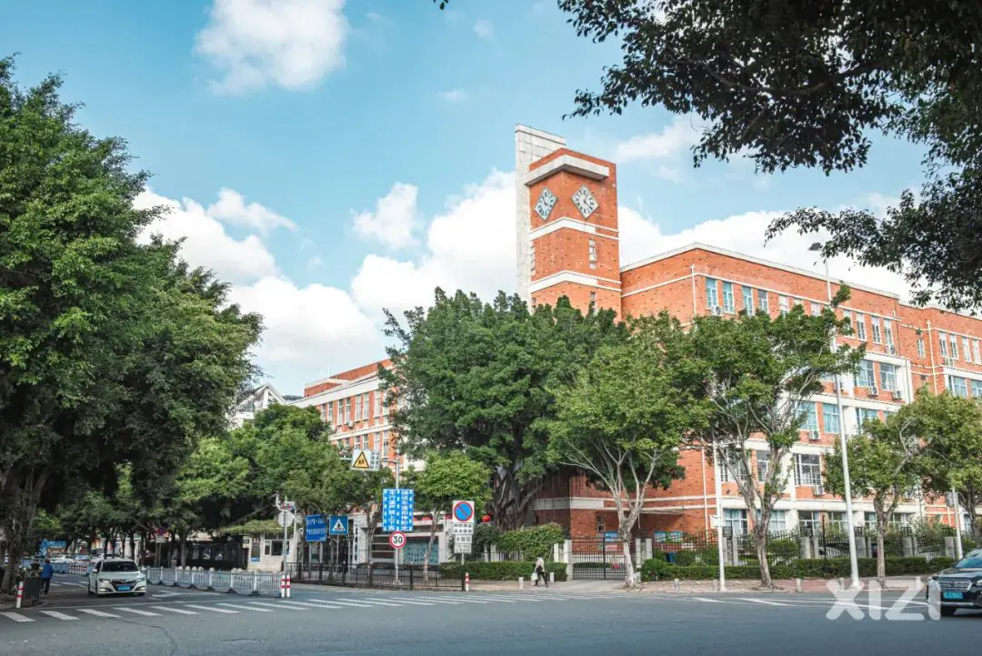 挣钱副业项目_挣钱副业任务类_副业 挣钱