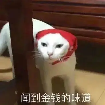 学校挣钱副业攻略学生_学生搞副业_赚钱学生兼职