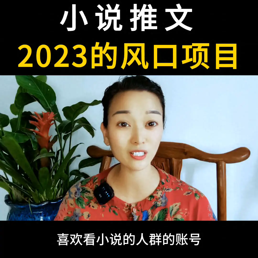 小说推广赚钱平台哪个好_挣钱小说推广是真的吗_小说如何推广挣钱