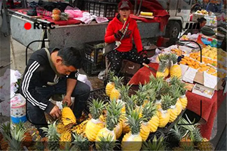 带篮子打工人视频_带篮子如何挣钱_挣钱带娃两不误图片