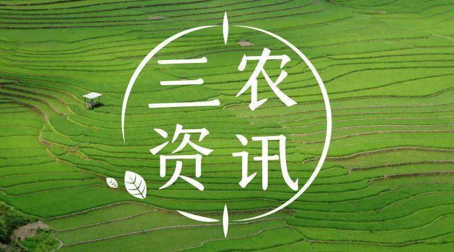 今日头条三农领域怎么过_头条三农如何挣钱_头条挣钱三农是真的吗