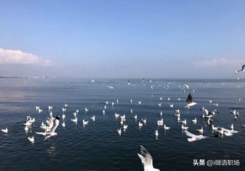 副业走什么赚钱_副业赚小钱_揭秘几个赚钱的副业项目