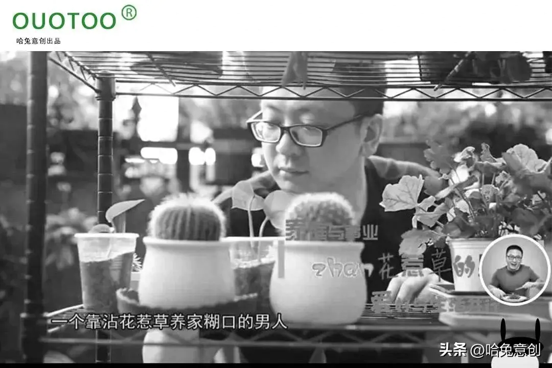 花卉如何挣钱图片_花卉挣钱图片大全_花卉赚钱吗