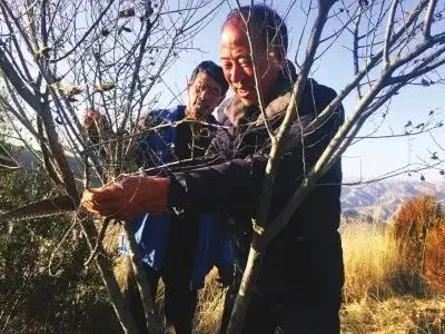 林场如何挣钱_林场收益_林场怎么盈利