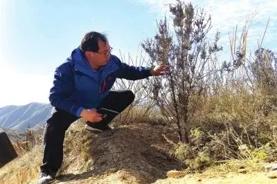 林场如何挣钱_林场怎么盈利_林场收益