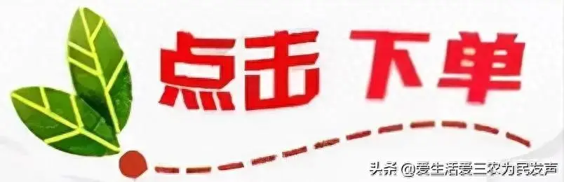 面包车可以做什么赚钱_挣钱面包车用什么软件_如何用面包车挣钱