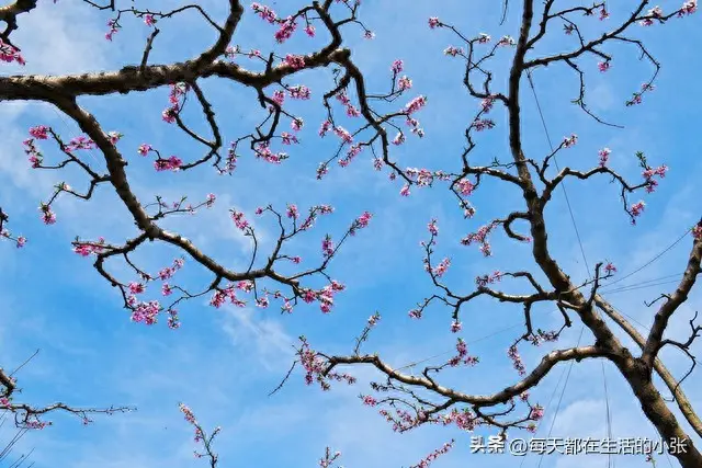 能挣钱有时间是什么歌_时间不够如何挣钱_挣钱就是几年的时间