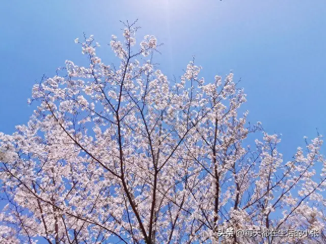 挣钱就是几年的时间_能挣钱有时间是什么歌_时间不够如何挣钱