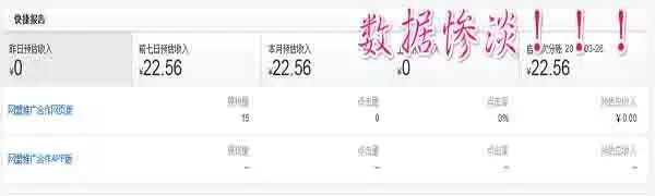 有没有挣钱的网站_赚钱软件没有_没有网站如何挣钱
