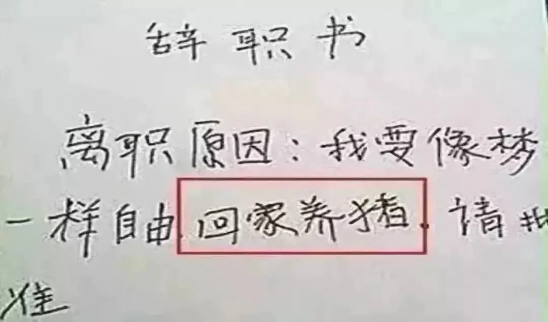 挣钱带娃的图片_赚钱带娃两不误的工作_带娃如何挣钱