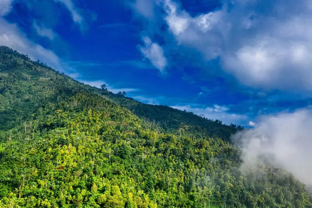 做一个旅游规划多少钱_挣钱规划旅游的说说_旅游规划如何挣钱