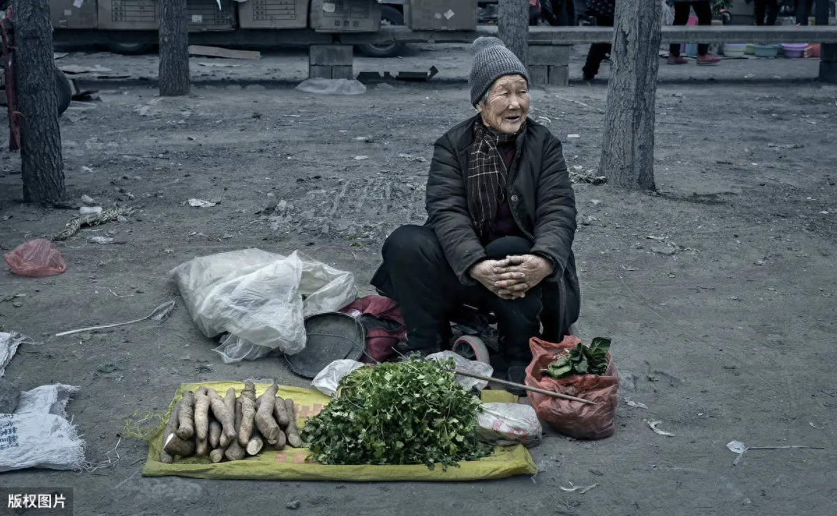 赚钱养花_挣钱养花游戏_如何挣钱养花
