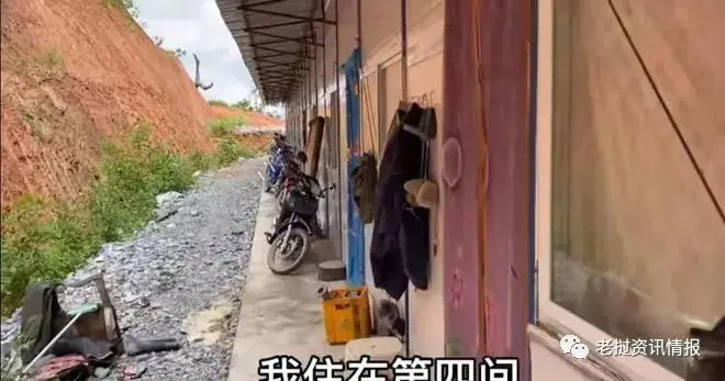 老挝打工如何挣钱_老挝打工上瘾_挣钱打工老挝视频