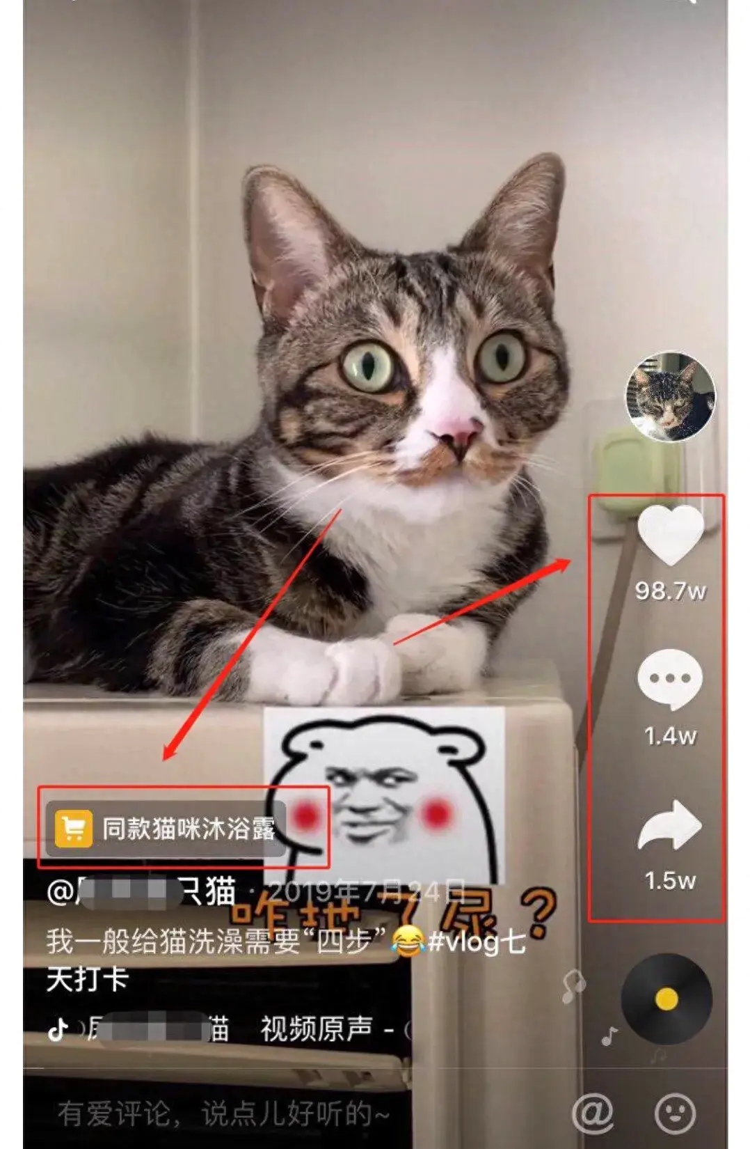 宠物赚钱项目_副业宠物赚钱吗_宠物赚钱副业有哪些