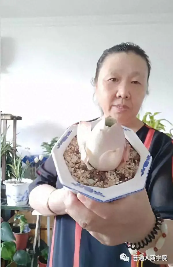 快手如何挣钱_播剧怎么挣钱快手_下载挣钱快手
