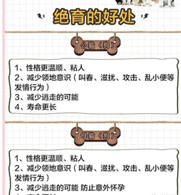 怀孕赚钱小副业_嘀嘀打车主页不赚钱副业赚钱_女孩子可以做哪些副业赚钱