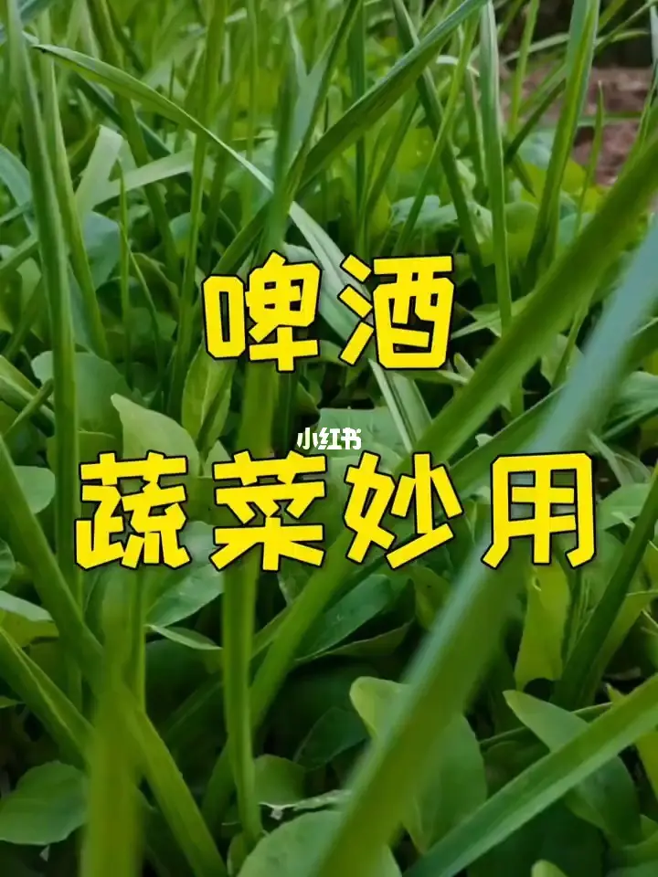 粮油蔬菜店如何挣钱_蔬菜粮油店投资多少_蔬菜粮油店利润如何