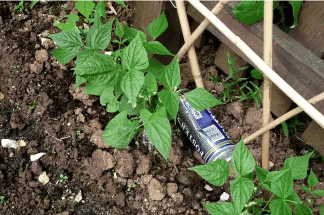 蔬菜粮油店利润如何_粮油蔬菜店如何挣钱_蔬菜粮油店投资多少