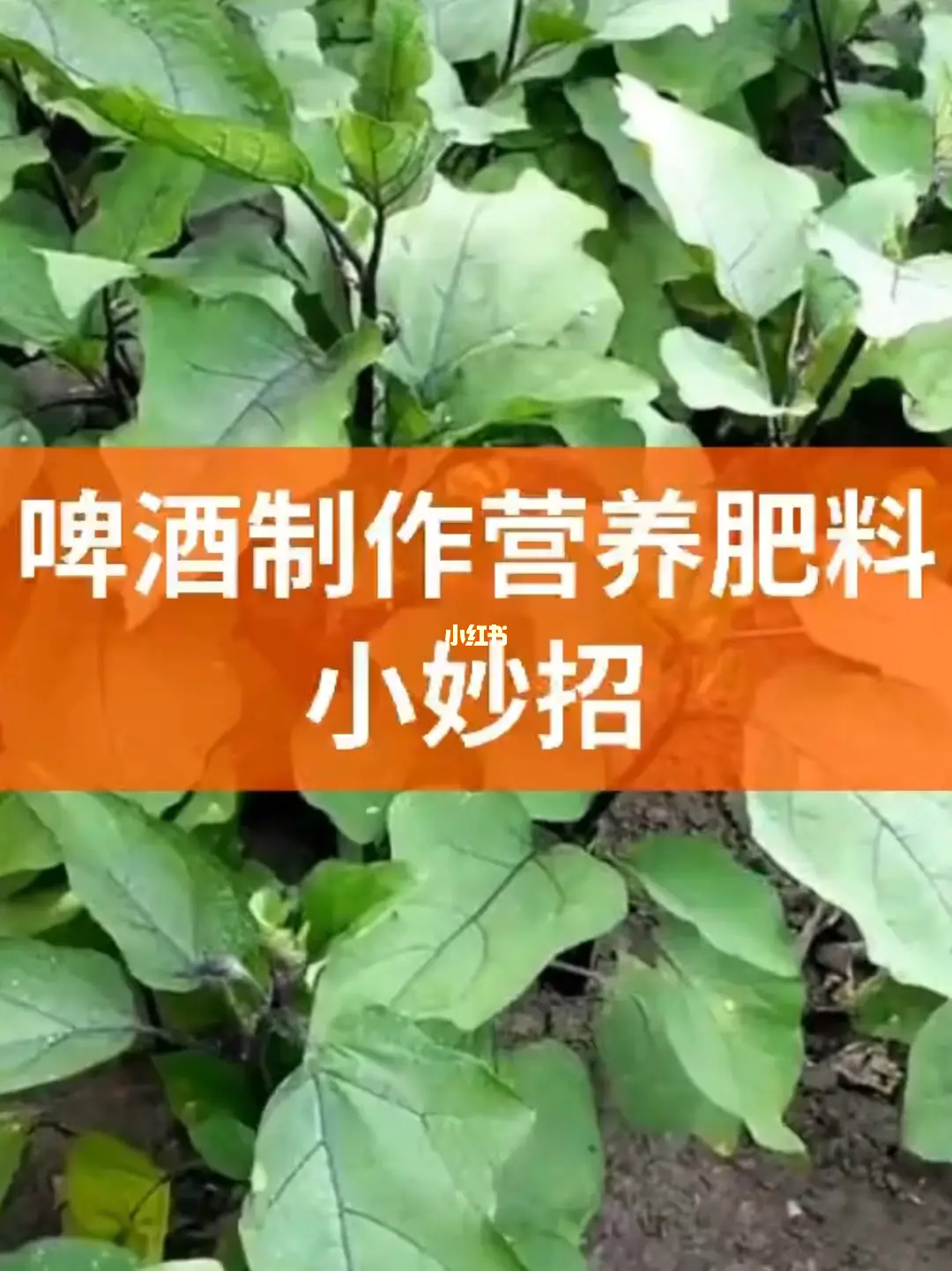 粮油蔬菜店如何挣钱_蔬菜粮油店投资多少_蔬菜粮油店利润如何