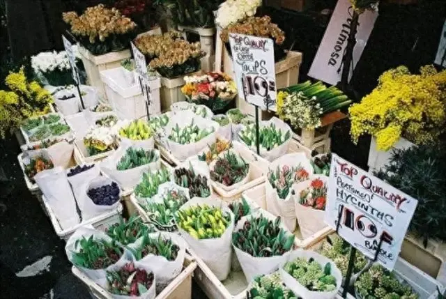 开家赚钱的花店pdf_花店如何挣钱_经营花店赚钱游戏