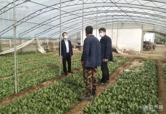 乡村疫情如何挣钱_疫情期间乡村_疫情中乡村实施了哪些措施