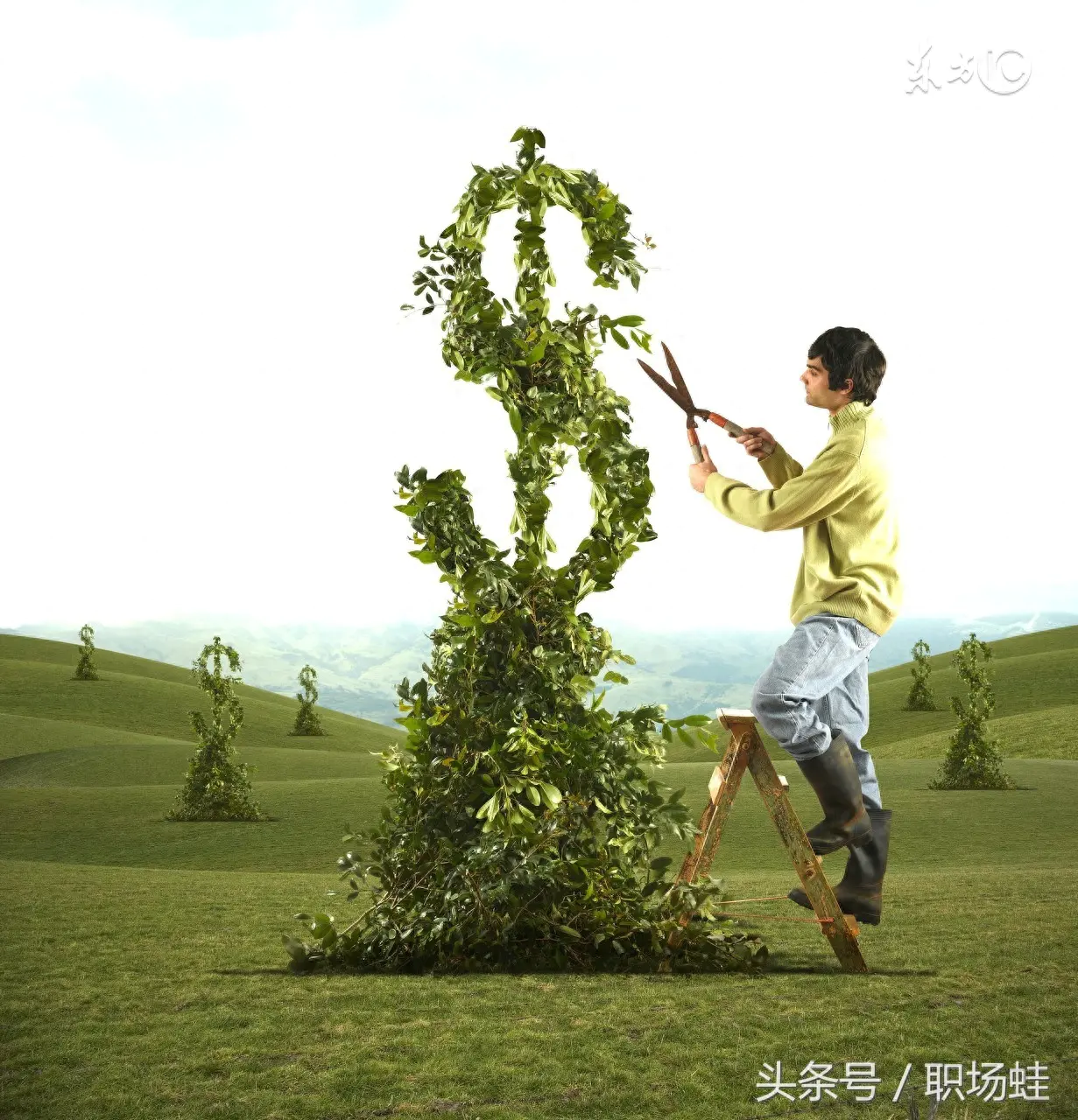 银行什么副业赚钱_赚钱副业银行怎么赚钱_银行的想干点副业