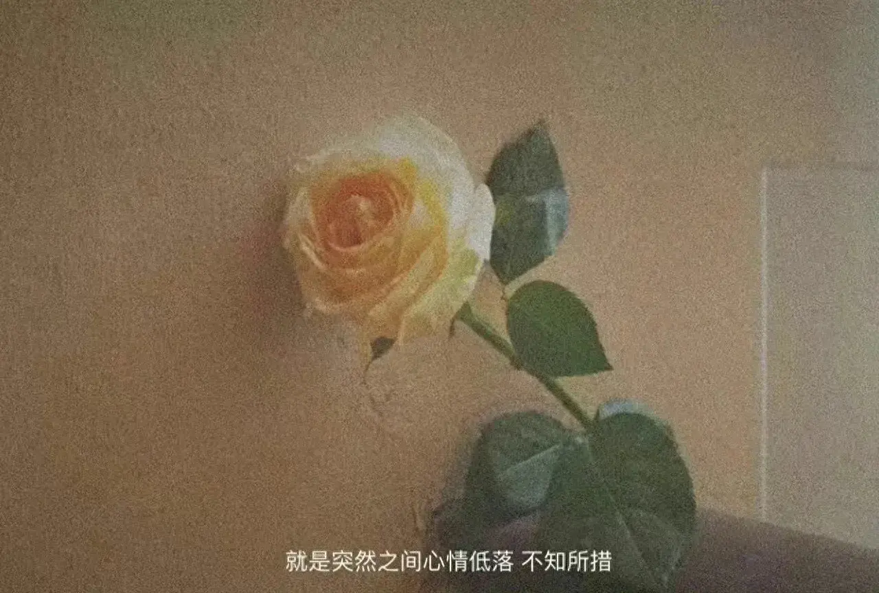 在家赚钱副业兼职_在家赚钱副业有哪些_在家 副业赚钱
