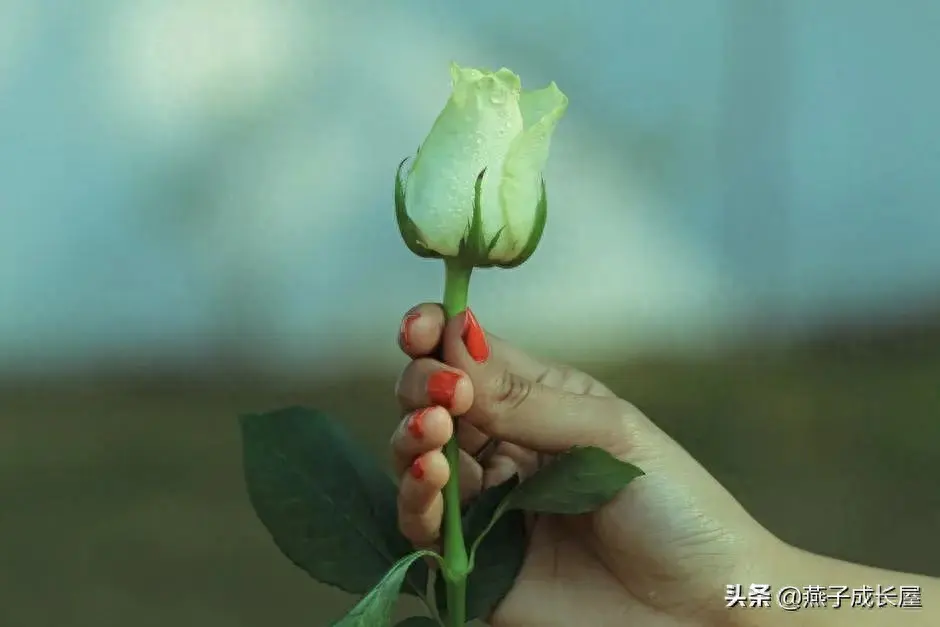 副业赚钱帖子_赚钱的帖子_帖子赚钱副业怎么做