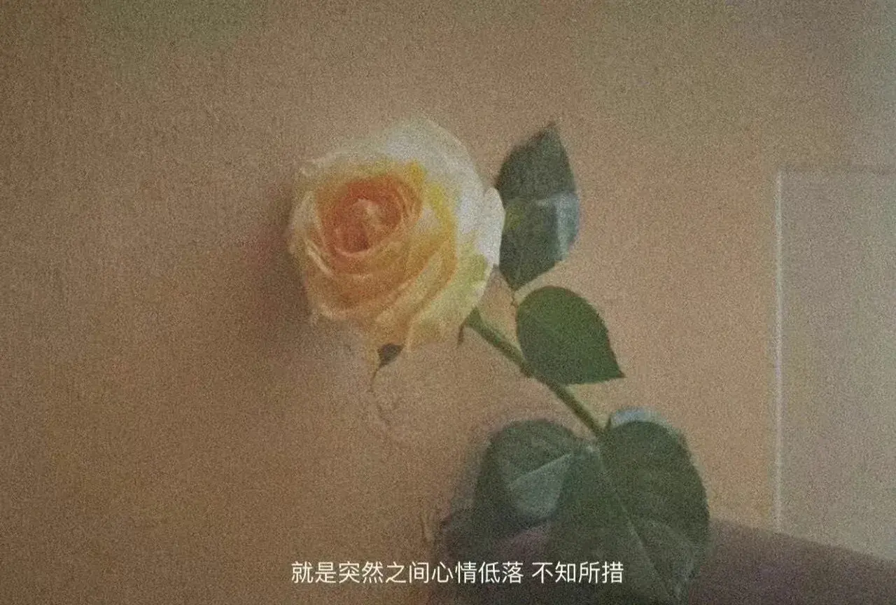 干点什么副业能赚钱呢_书籍副业赚钱_副业赚钱之道社区