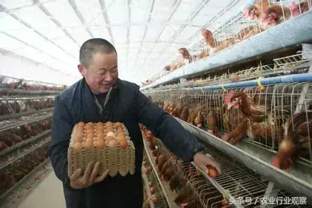 副业养殖赚钱_男朋友干什么副业赚钱_网吧里面的做什么副业比较赚钱