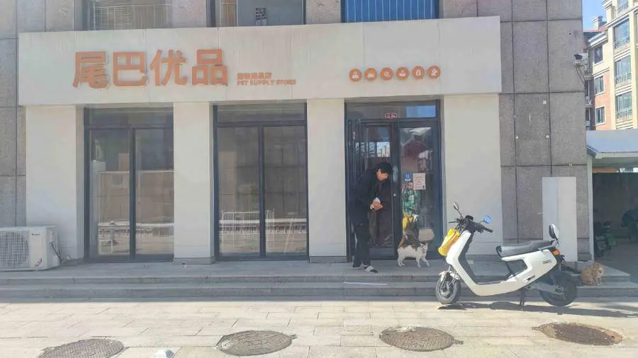 宠物赚钱副业_现在做什么副业赚钱_梦幻西游手游副业赚钱