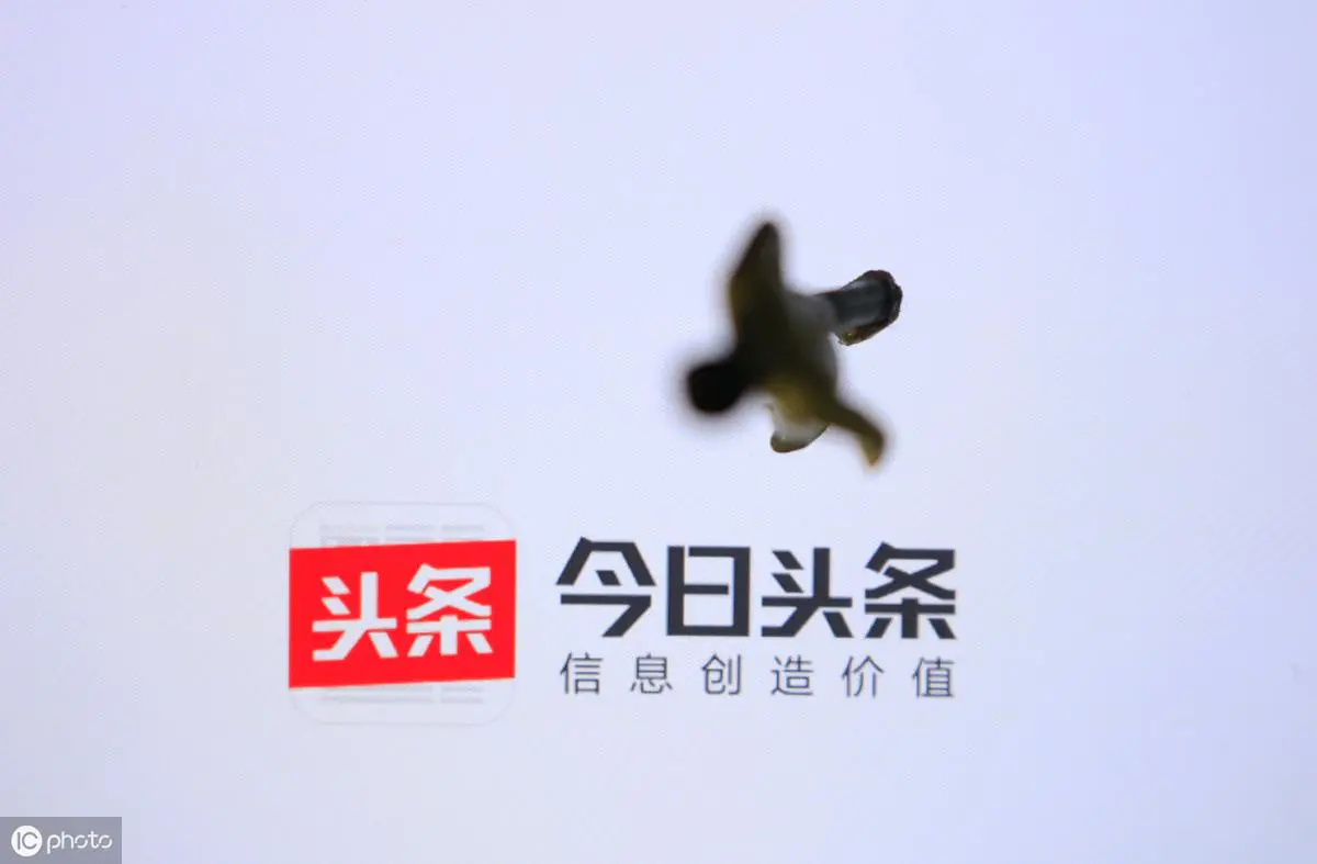买一台电脑做什么副业赚钱_用电脑干的副业_电脑挣钱副业