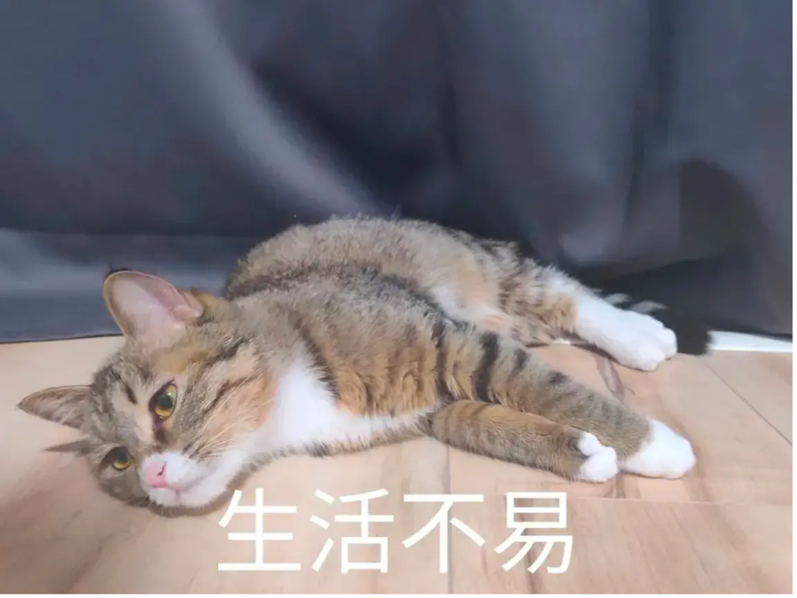 跑外卖副业_外卖赚钱副业是真的吗_外卖副业赚钱