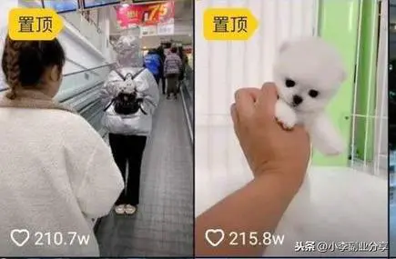 赚钱副业干手机上能做吗_手机上副业干什么赚钱快_手机上挣钱的副业