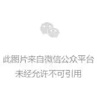 送羊是啥_看羊送羊_乐羊送书怎么赚钱