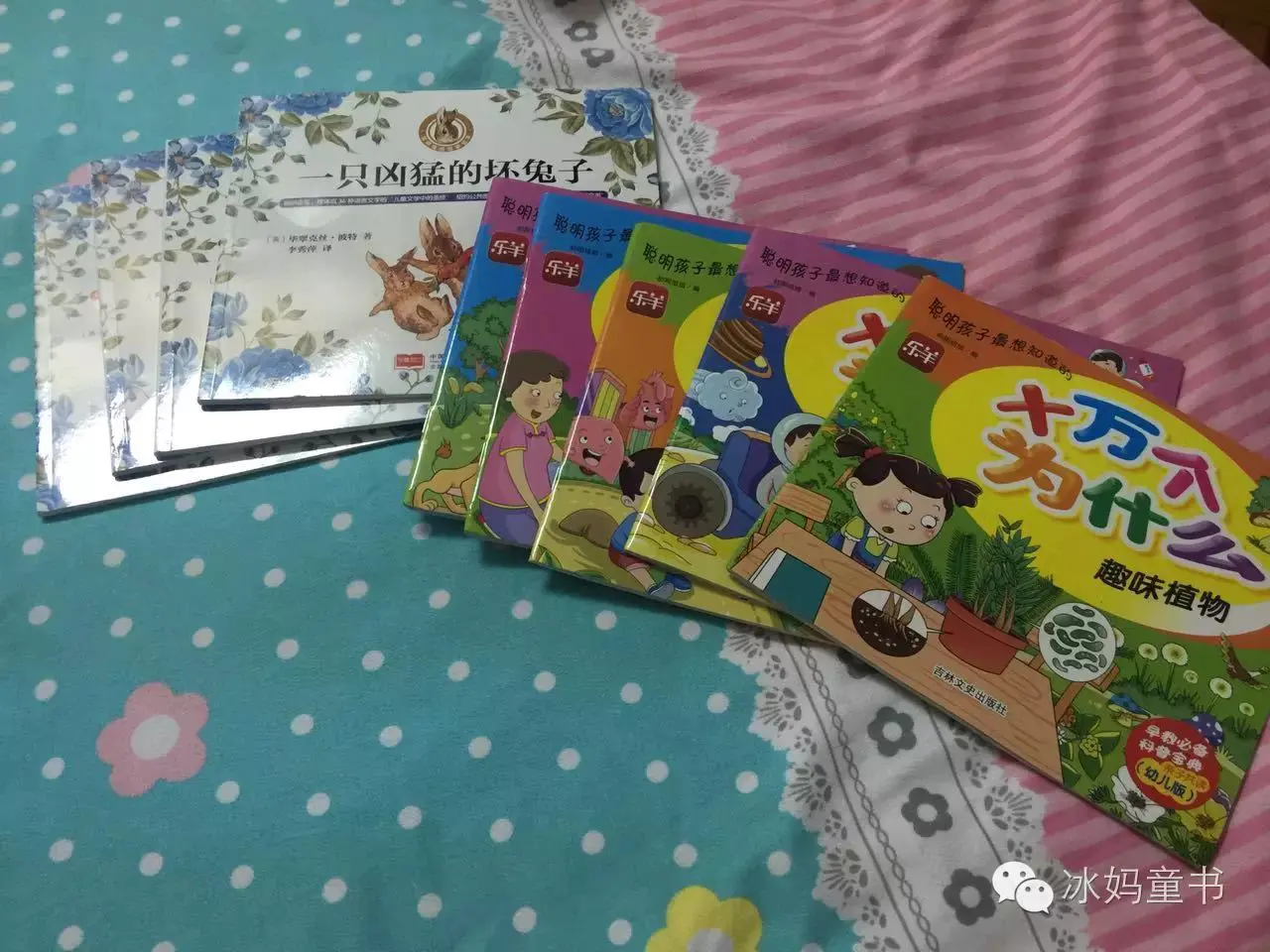乐羊送书怎么赚钱_送羊是啥_看羊送羊