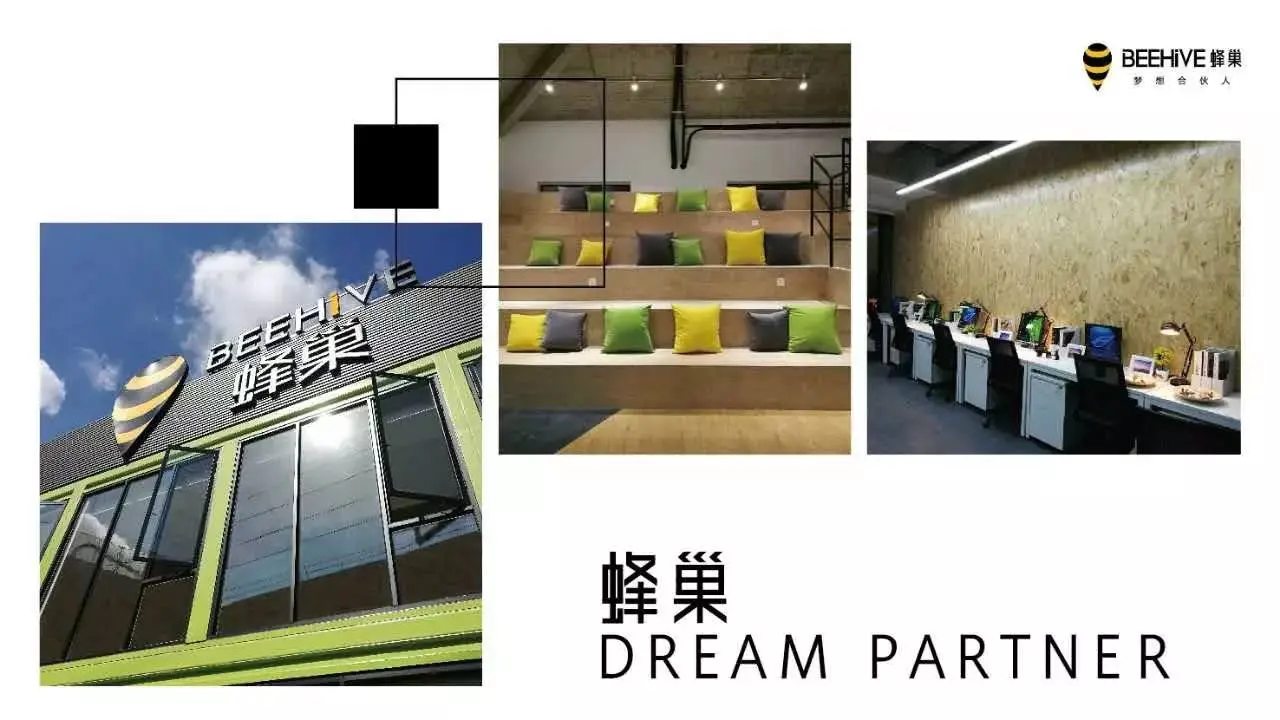 蜂巢赚钱app_蜂巢团队怎么赚钱_赚钱蜂巢团队是真的吗