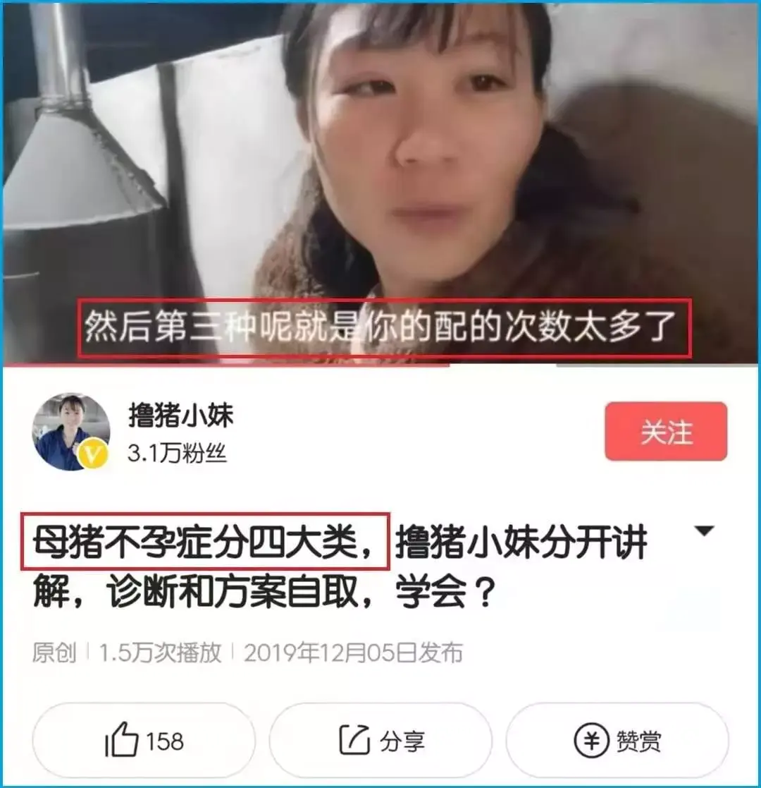 快手段视频赚钱_视频短赚钱快手怎么做_快手短视频怎么赚钱