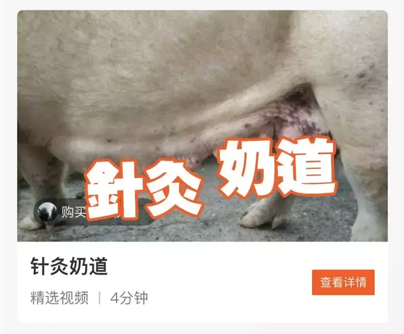 视频短赚钱快手怎么做_快手短视频怎么赚钱_快手段视频赚钱