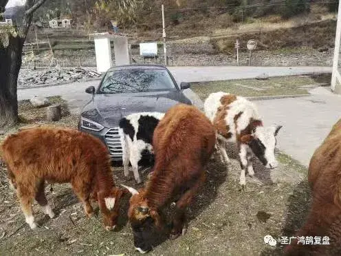 微赚钱软件app_手机微盘怎么赚钱_有没有玩微盘赚钱的
